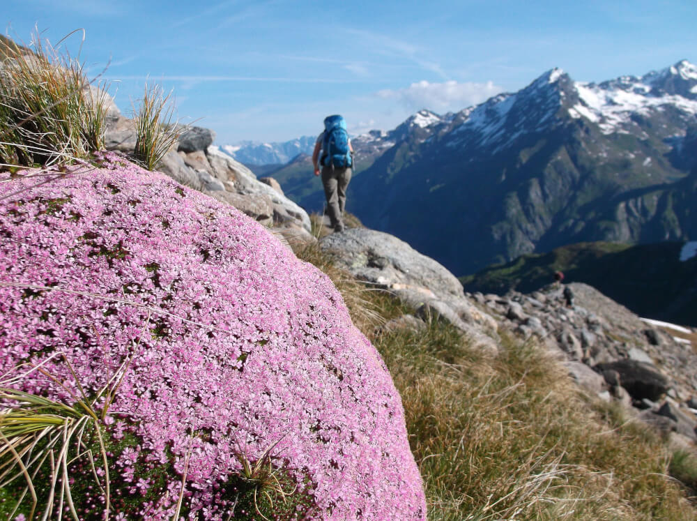Header compressed Alpenventures UNGUIDED
